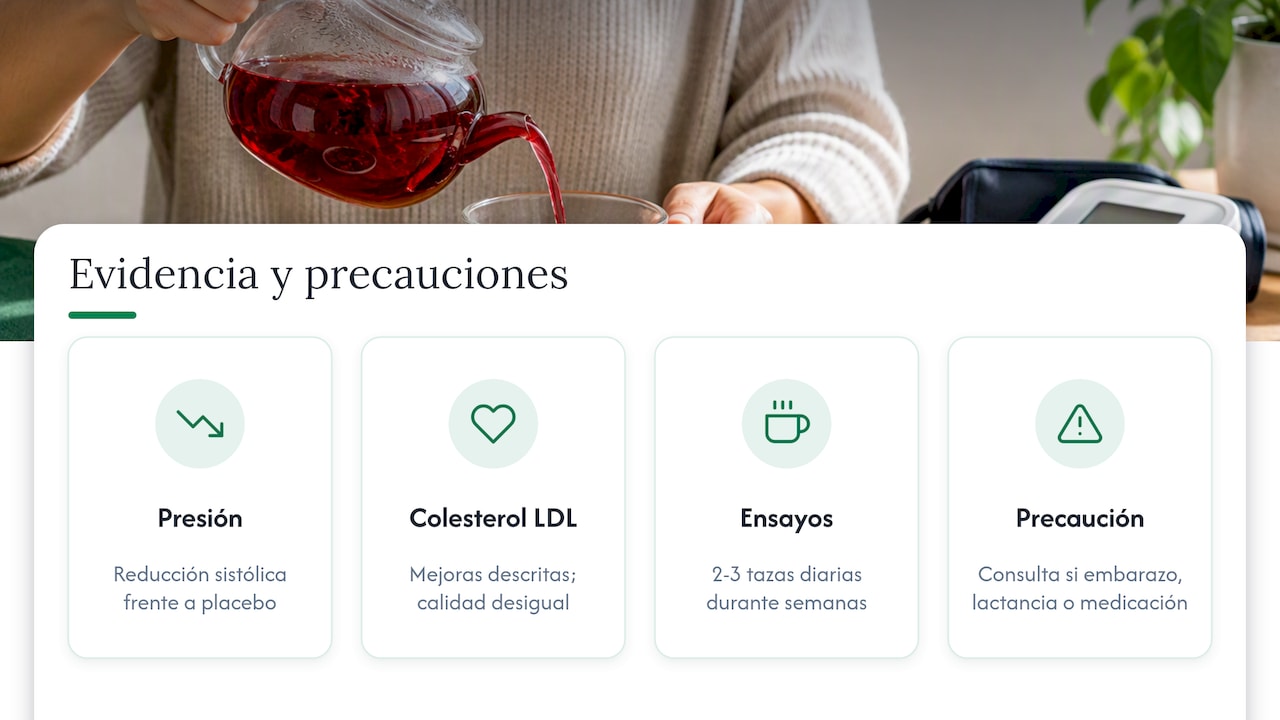 Seguridad y evidencia científica sobre el té de hibisco — overview diagram