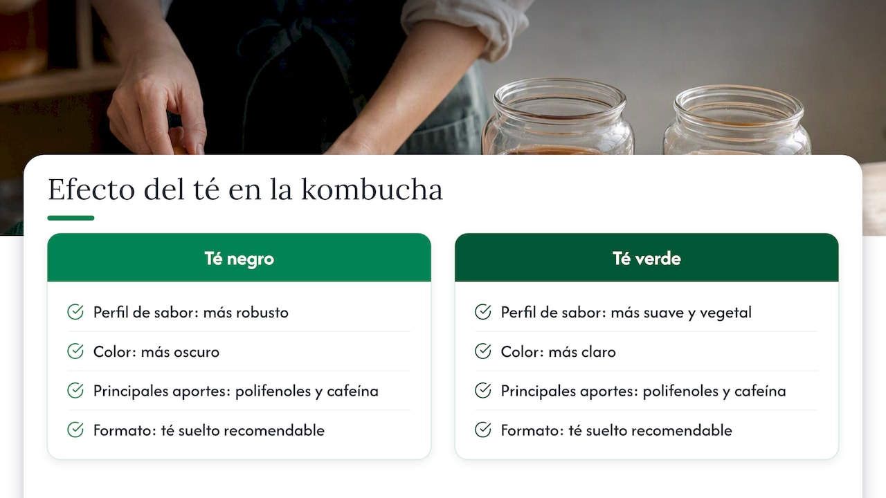Comparación entre kombucha, té negro y té verde