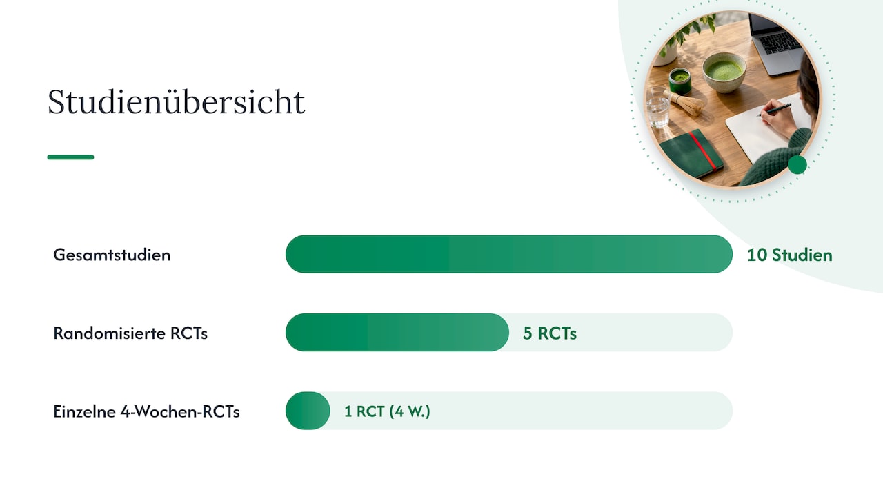 Evidenzlage: Was sagen Studien zu Kognition, Stoffwechsel und Schlaf? — overview diagram