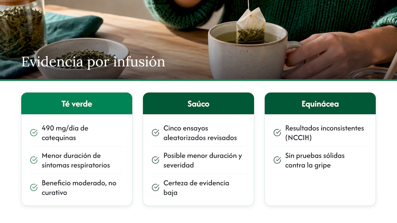 ¿Qué dice la investigación sobre el té y la inmunidad? — overview diagram