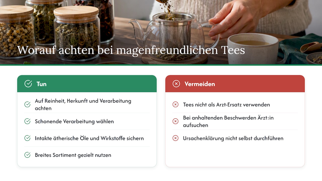Tealyra-Expertise: Worauf es bei magenfreundlichen Tees ankommt — overview diagram