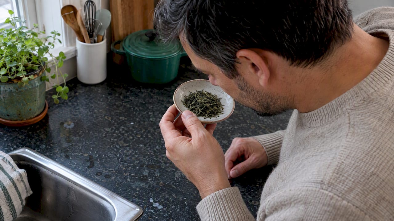 Person checking loose green tea freshness