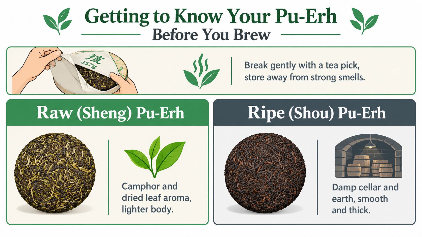 An infographic illustrating how to prepare and distinguish between raw sheng and ripe shou pu-erh teas.