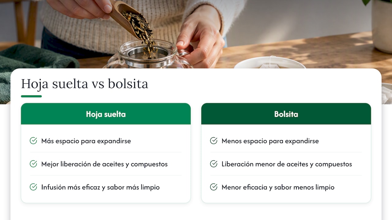 Comparación entre té a granel y en bolsita