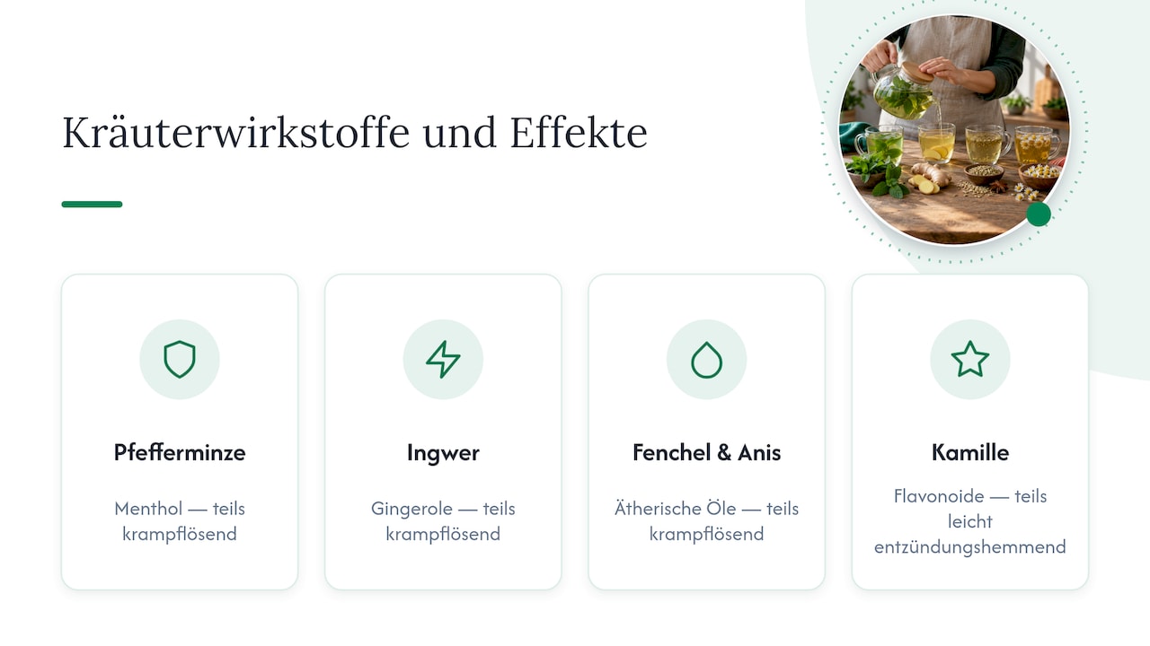 Wirkstoffe und mögliche Wirkungen von Kräutern