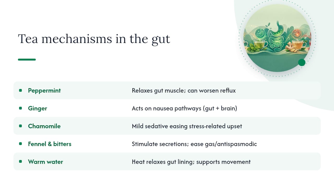 Digestive tea mechanisms and cautions